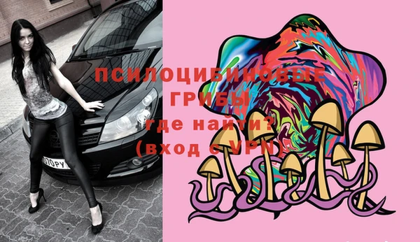 дурь Алексин