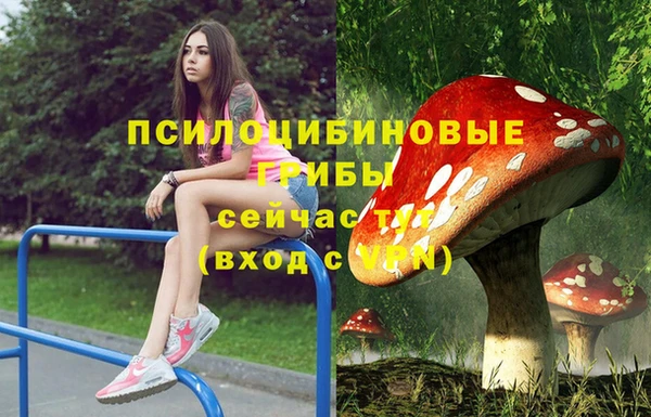 jwh Алзамай