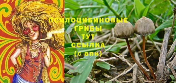jwh Алзамай