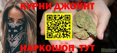 индика Камышлов