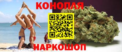 индика Камышлов