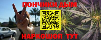индика Камышлов