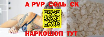 индика Камышлов