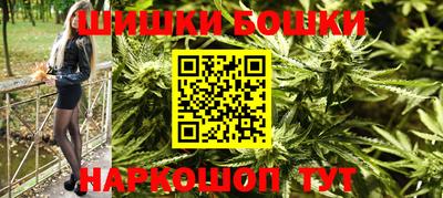 индика Камышлов