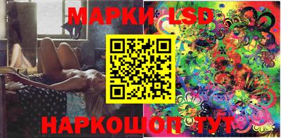 индика Камышлов