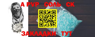 индика Камышлов