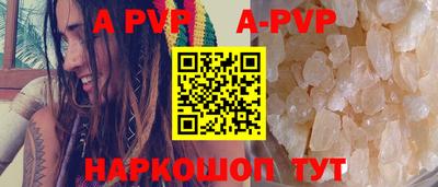 индика Камышлов