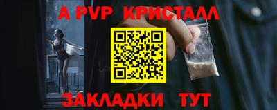 индика Камышлов