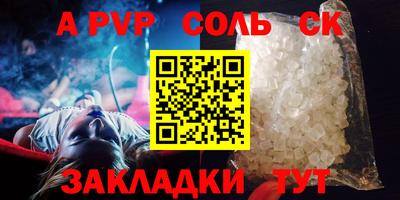 индика Камышлов
