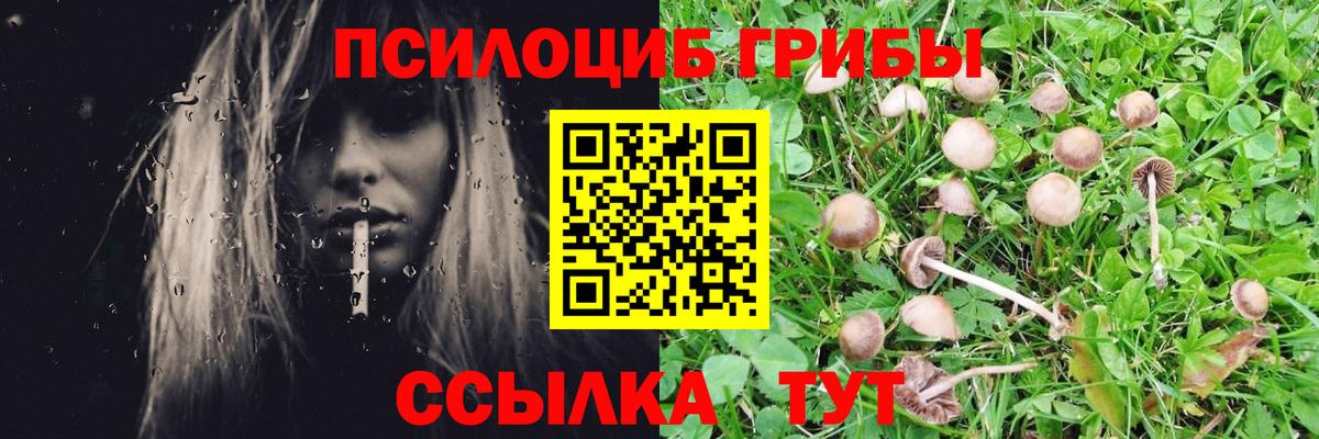Красноармейск  Псилоцибиновые грибы мицелий  Вход с VPN 