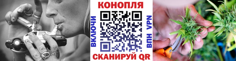 Бошки Шишки семена  Красноармейск 